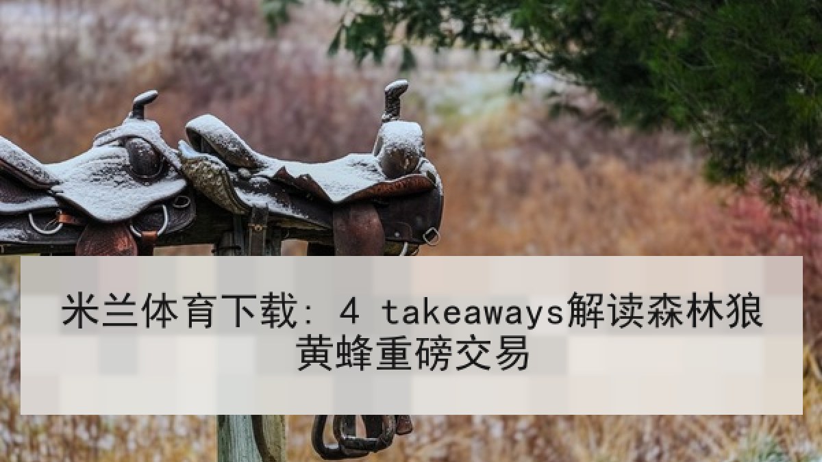 米兰体育下载: 4 takeaways解读森林狼黄蜂重磅交易 米兰体育下载: 4 takeaways解读森林狼黄蜂重磅交易
